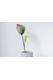 【AJIPROJECT】SABO L（flower vase）