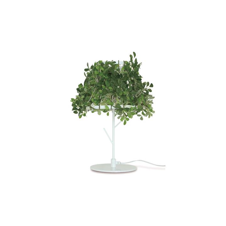 【DI CLASSE】Foresti table lamp フォレスティ テーブルランプ