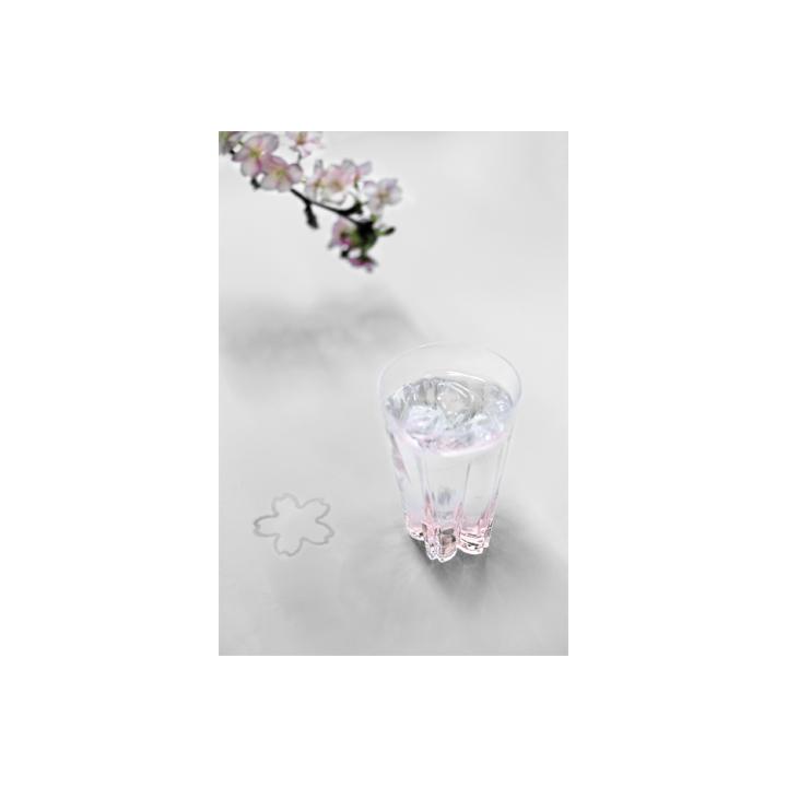 【100%】SAKURASAKU glass Pilsner / ピンク （グラス）