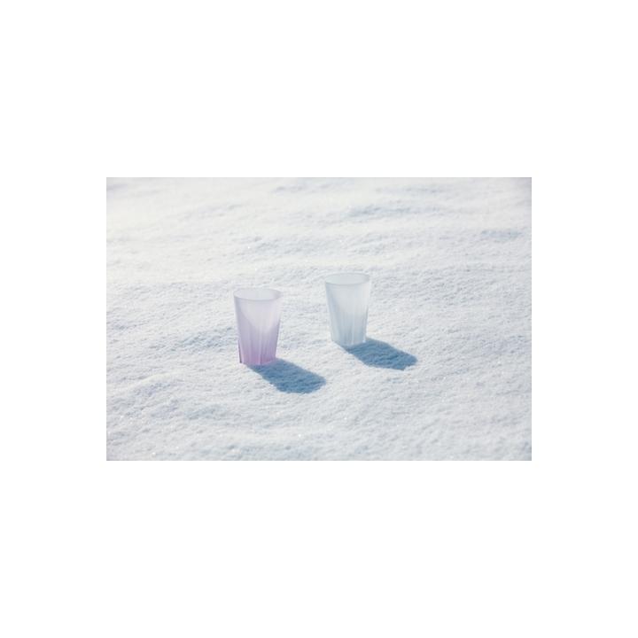 【100%】SAKURASAKU glass Tumbler 雪桜 / クリア （グラス）