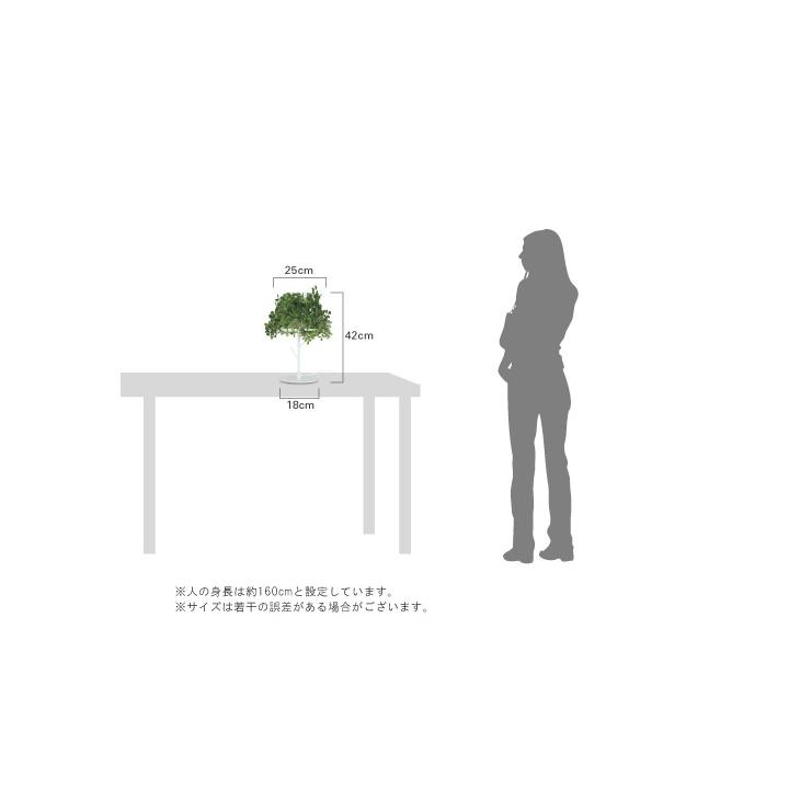 【DI CLASSE】Foresti table lamp フォレスティ テーブルランプ